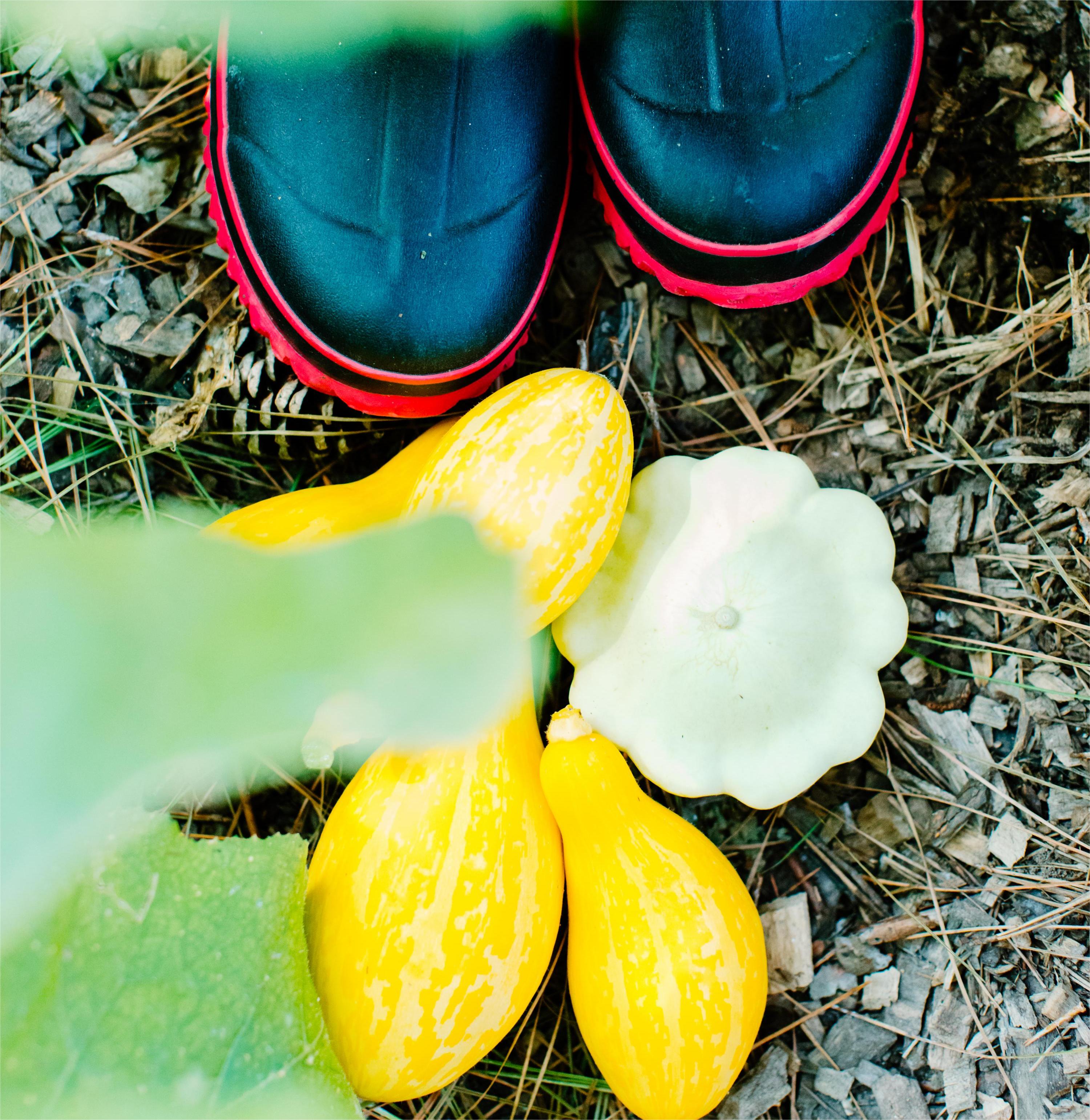 How to Choose a Pair of Garden Boots